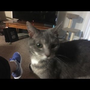 Meet your Posher, Pam